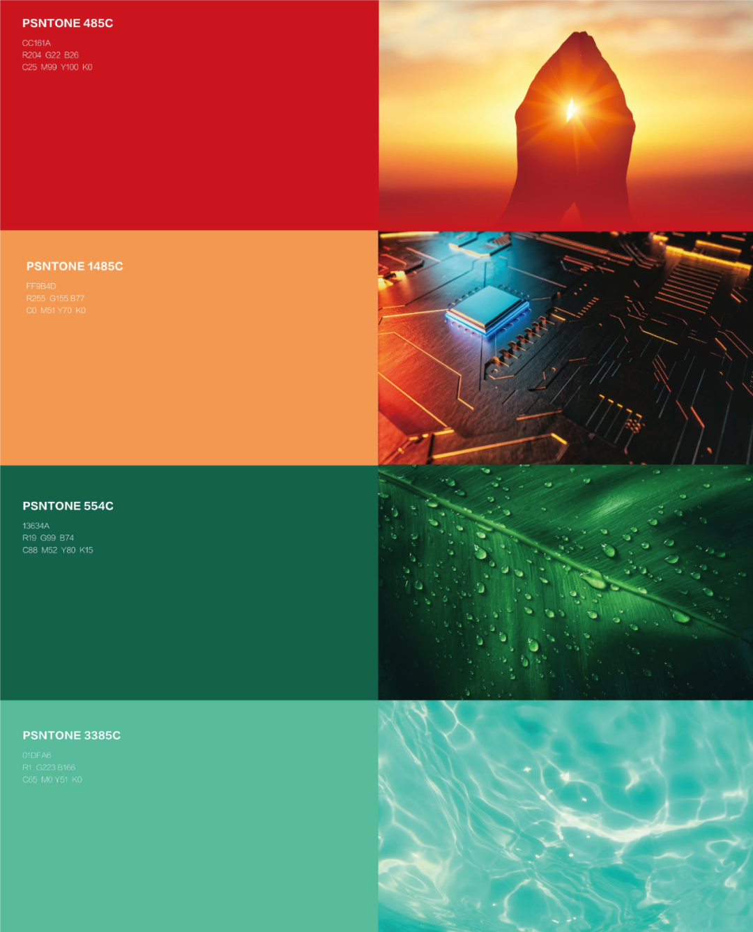 һ����(�й���)�ٷ���վ