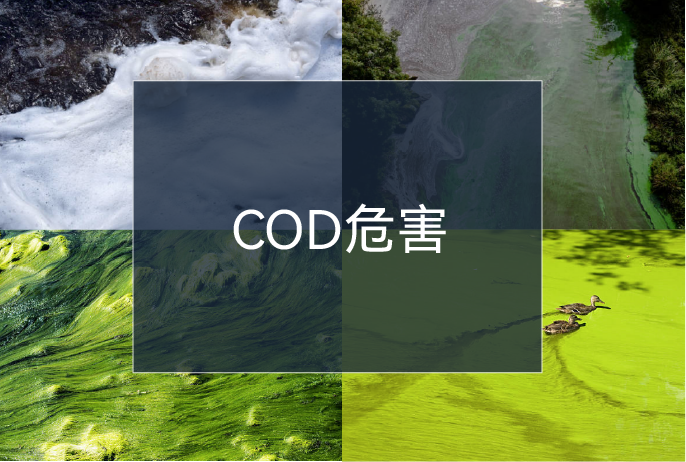 һ����(�й���)�ٷ���վ