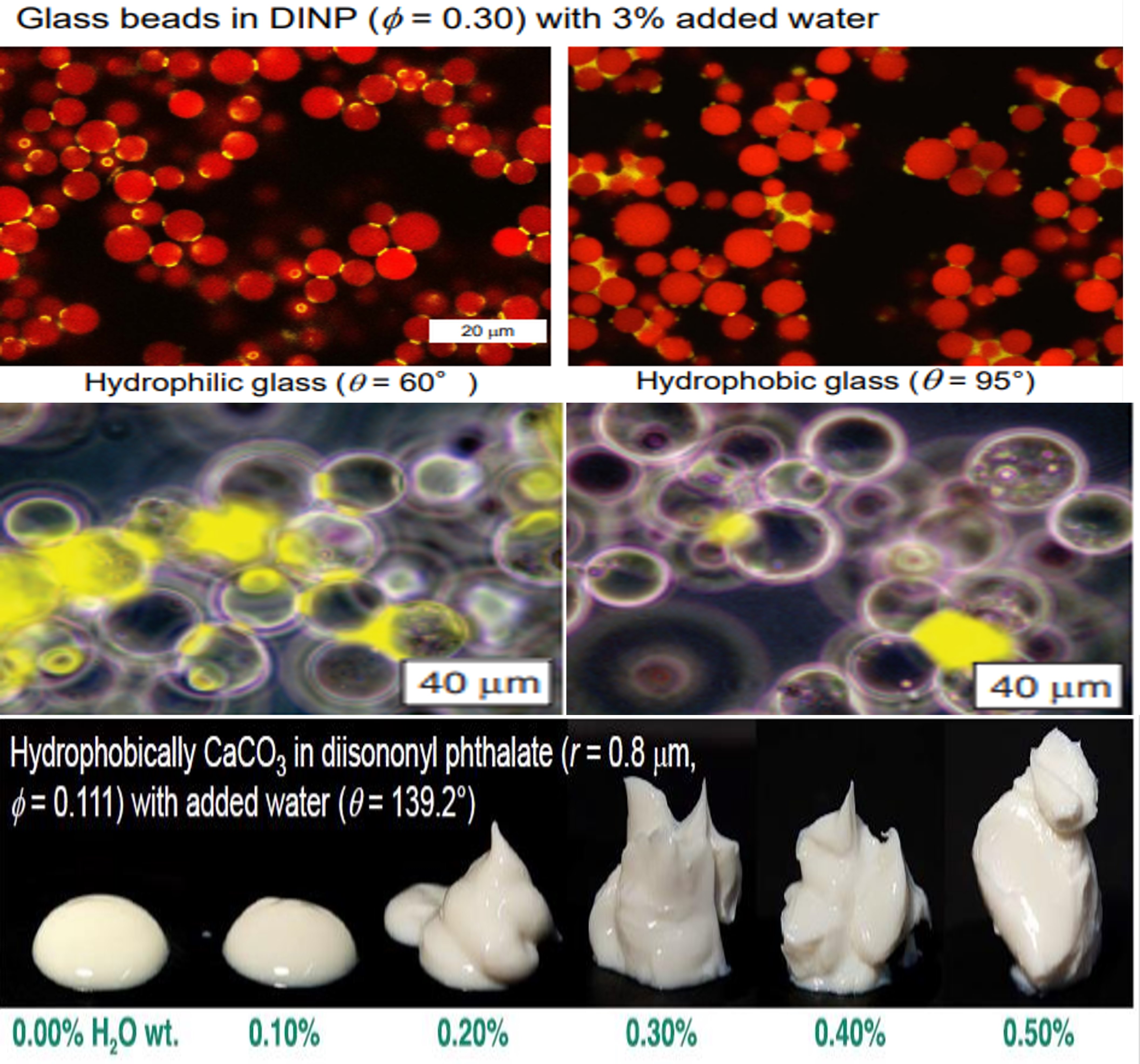 һ����(�й���)�ٷ���վ